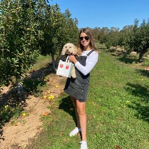 freepeople denim overall dress